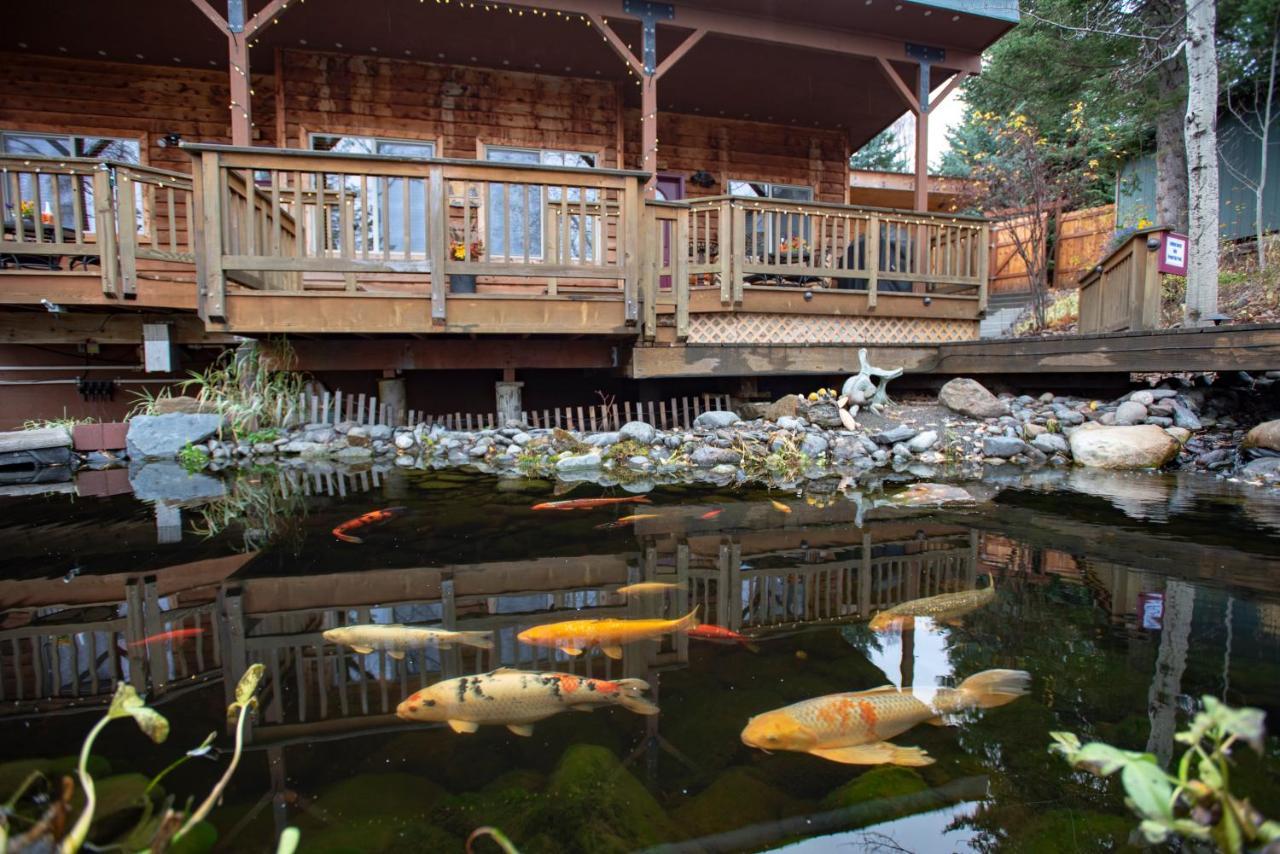 호머 Bear Creek Winery And Lodging B&B 외부 사진